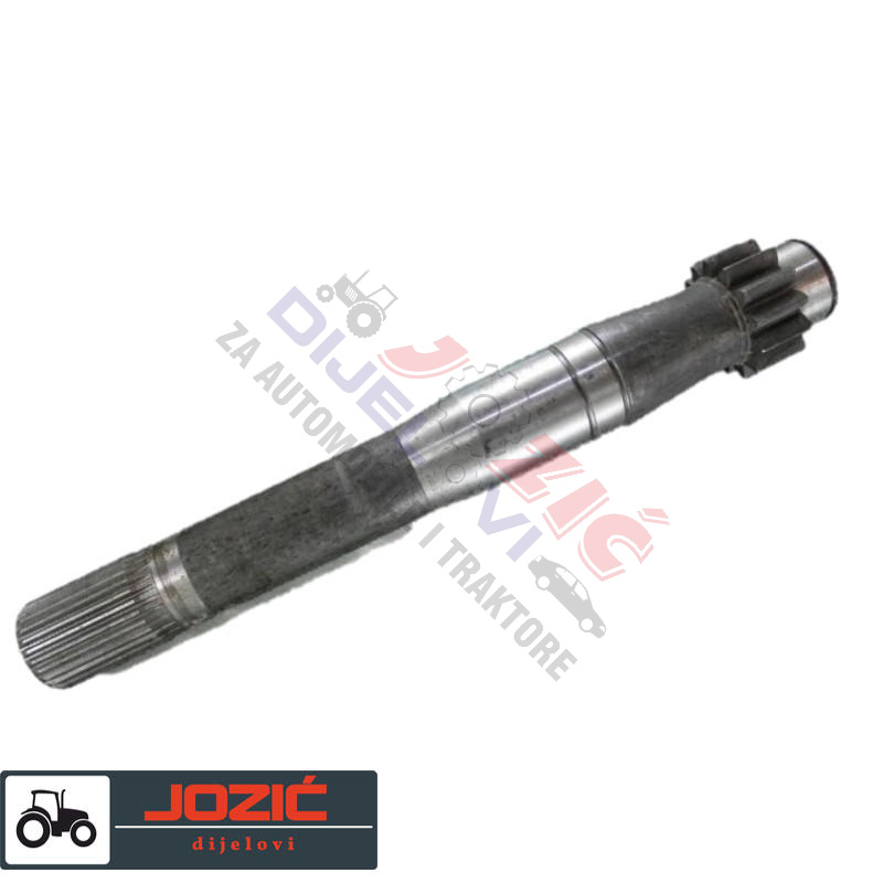 Daisy on the Ohoopee